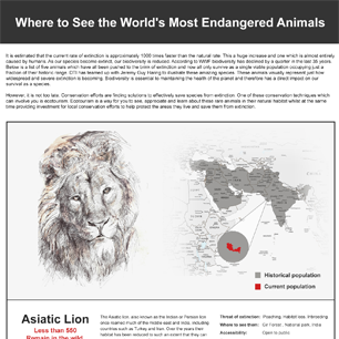 Where to Find the World's Most Endangered Animals Infographic