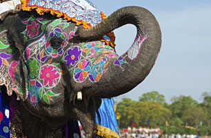 Report-predicts-India-tourism-growth