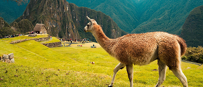 Peru