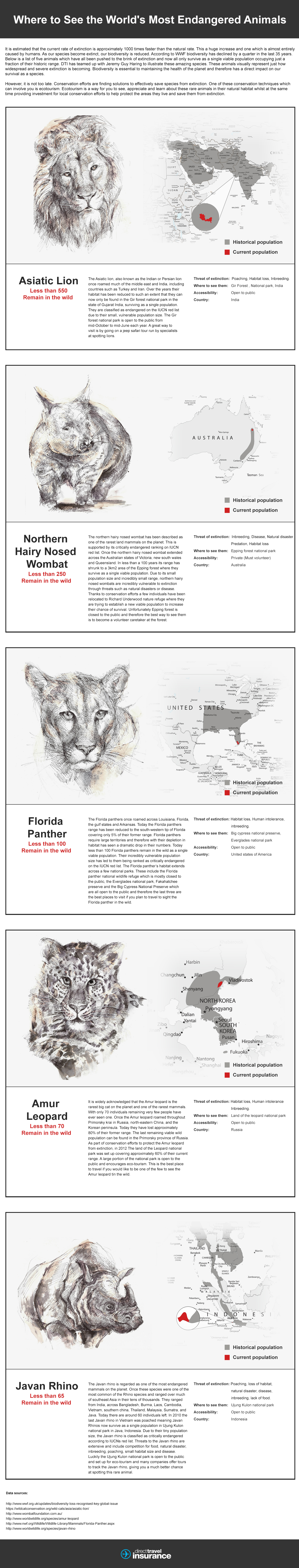 Where to See the World's Most Endangered Animals