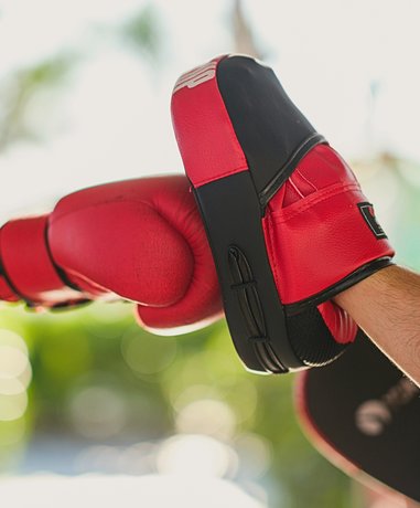 Boxer training in a gym