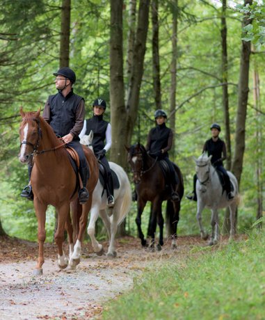 Rider on horseback in scenic landscape