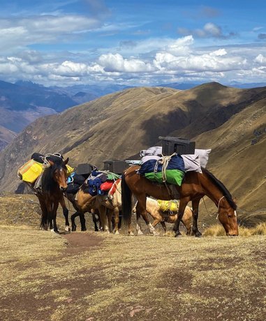 Pony trekking in scenic landscape