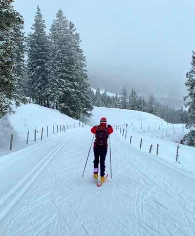 Ski walker ascending a snowy slope