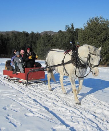 Sleigh ride in snowy landscape