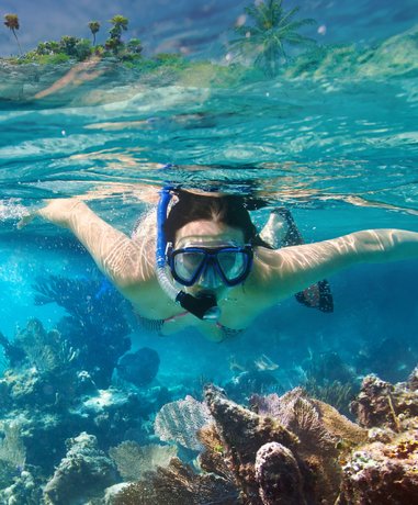 Snorkeller exploring coral reef