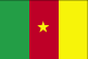 flag-cameroon