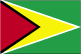 flag-guyana